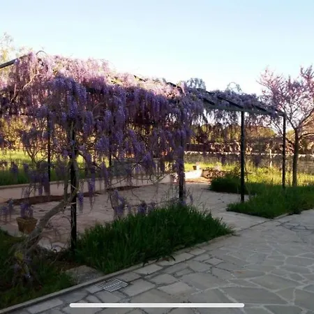 Tipico Casale Pugliese Immerso Nel Holiday home Martina Franca